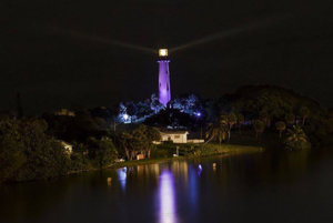 PURPLELIGHTHOUSE.jpg