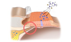 moleculartherapy1-400x240b.jpg