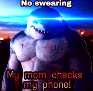 NO SWEARING.png