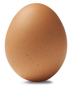 silo-brown-egg.jpg