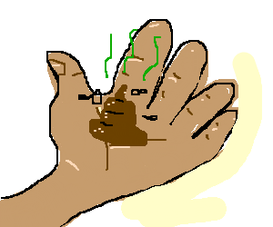 poop in hand.png