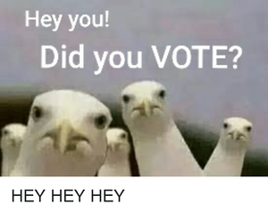 hey-you-did-you-vote-hey-hey-hey-37495734.png