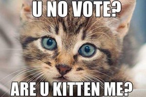 u-no-vote-are-you-kitten-me-voting-meme.jpg