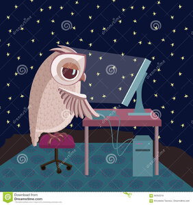 owl-working-computer-vector-illustration-night-68192019.jpg