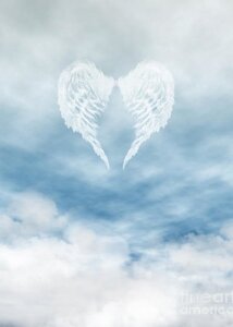 angel-wings-in-cloudy-blue-sky-fairy-fantasies.jpg