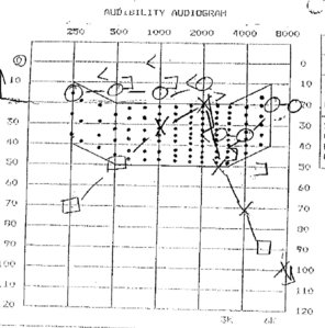 audiogram post fx.jpg