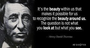 Quotation-Henry-David-Thoreau-It-s-the-beauty-within-us-that-makes-it-possible-134-38-50.jpg