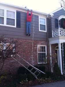 funny-christmas-picture-ladder.jpg