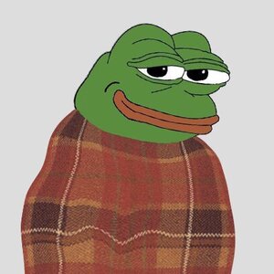 comfy pepe.jpg