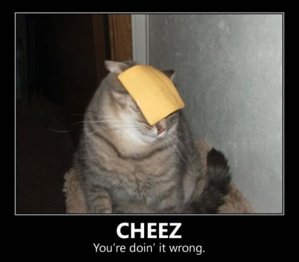 cheez-youre-doin-it-wrong.jpg