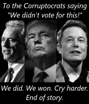 Trump Kennedy Musk We won End of Story.jpg