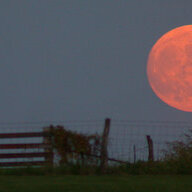 moonscape